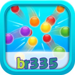 br335
